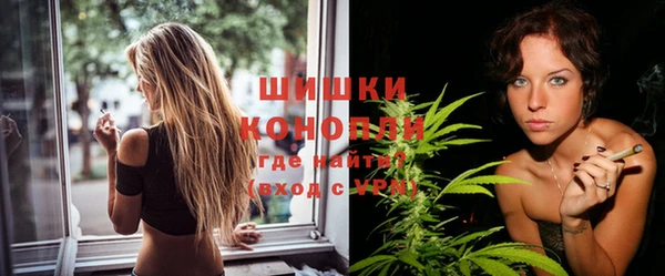 твердый Кулебаки