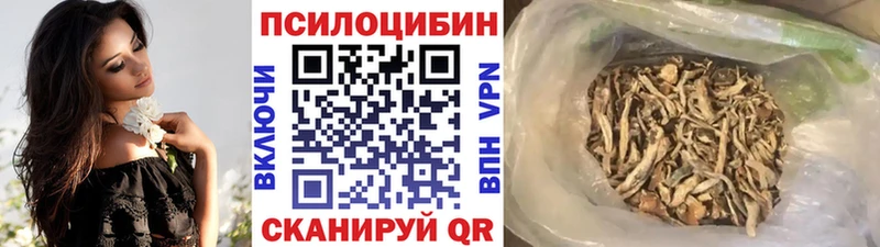 Псилоцибиновые грибы Cubensis  купить наркоту  Нелидово 